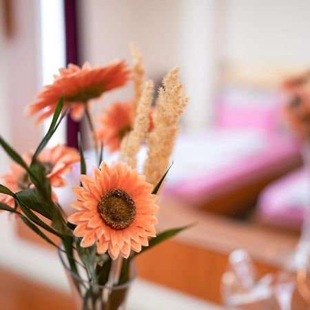 Hotel Holiday-M Ohri Dış mekan fotoğraf